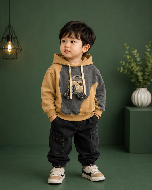 Boys Teddy Patch Hoodie Sweatshirt | Premium Korean Style Winter Hoodie | 1-6 Years