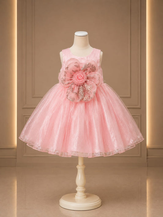 Girls Premium Pink Princess Party Wear Frock with 3D Floral Applique | Birthday & Wedding Dress | Size 16–18