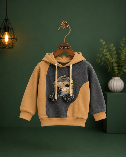 Boys Teddy Patch Hoodie Sweatshirt | Premium Korean Style Winter Hoodie | 1-6 Years